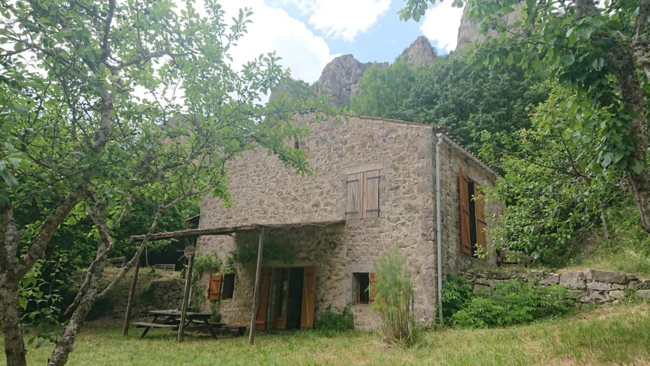 Maison De Vignes De Tournemire Tournemire  Екстериор снимка
